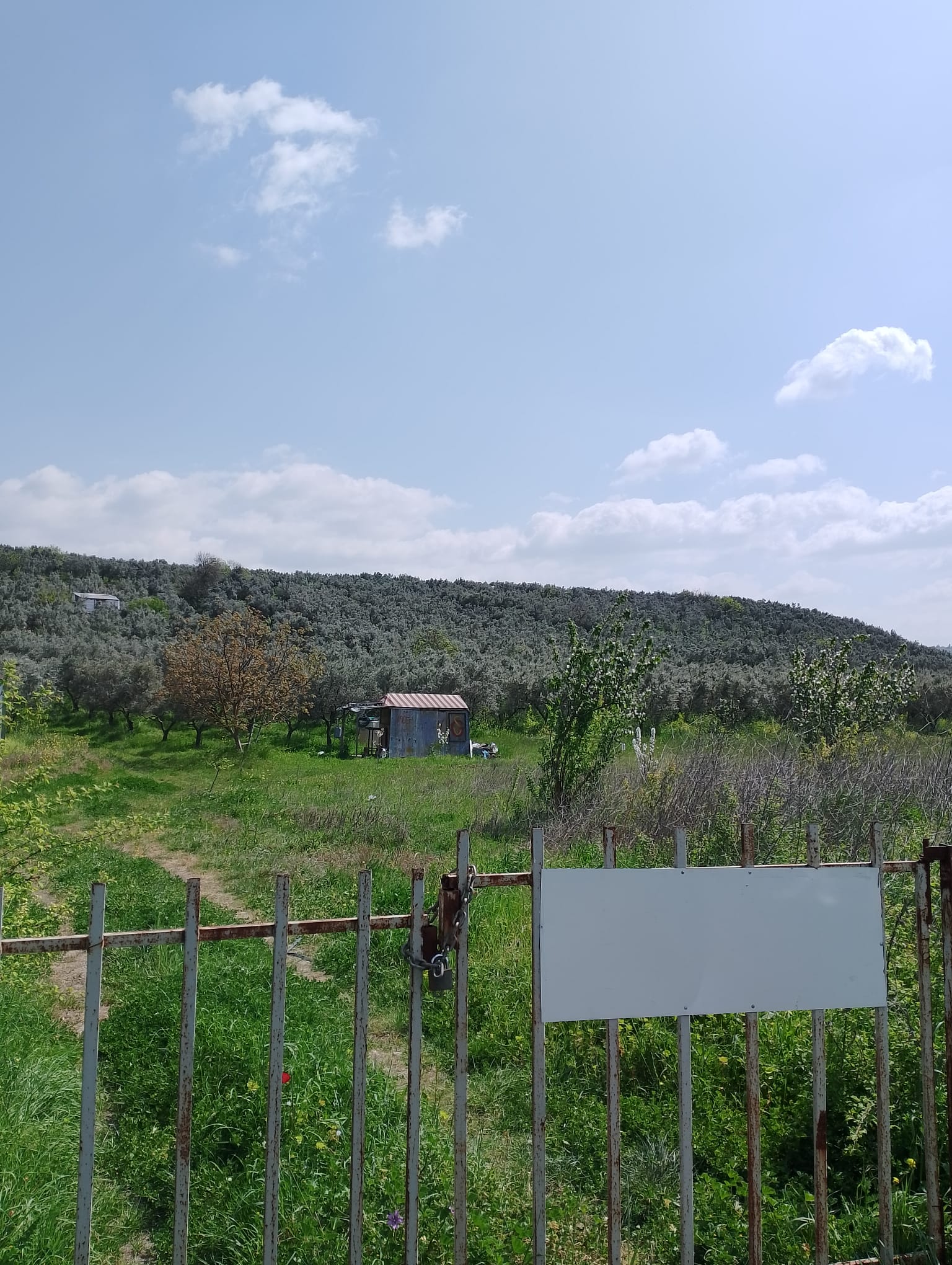 BURSA GEMLİK UMURBEY SATILIK TARLA 2114m² - BURSA GEMLİK fotoğraf 15